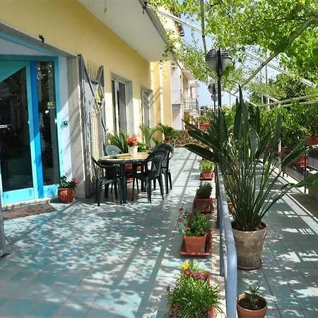 彼得拉威尔德酒店 酒店